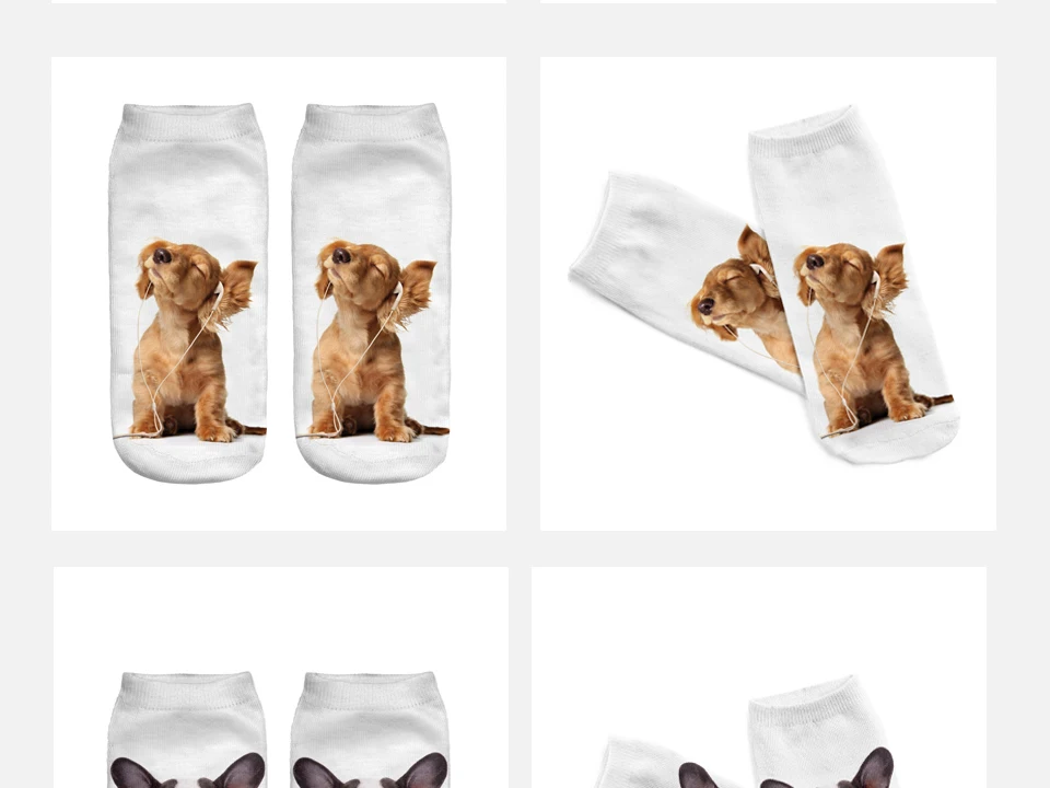 puppy_08