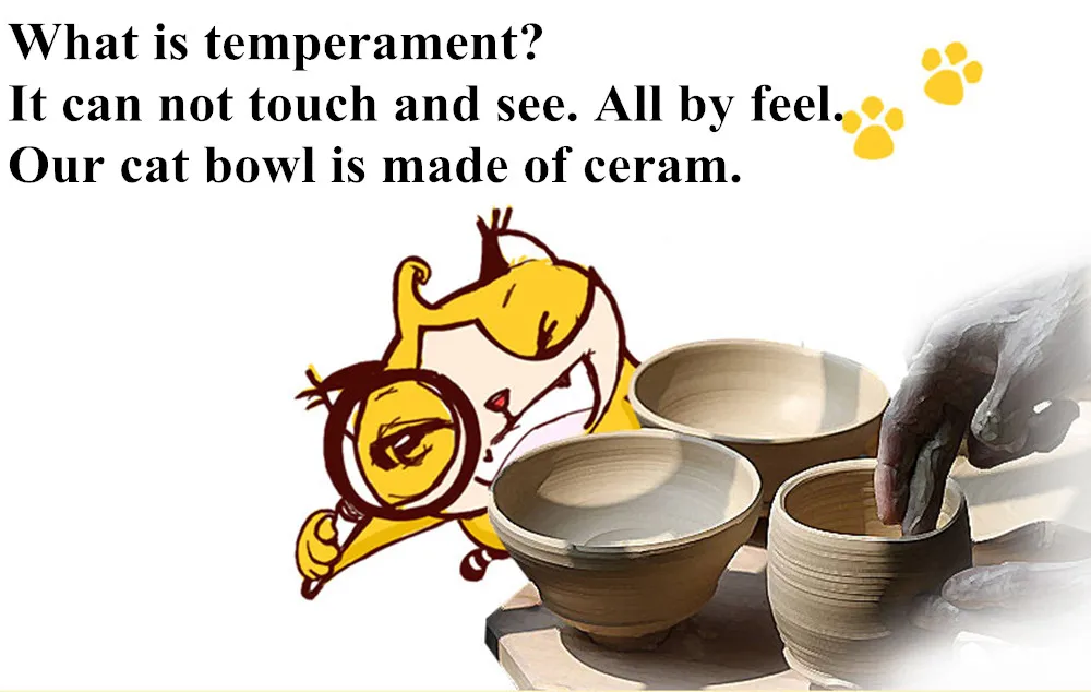C (2)