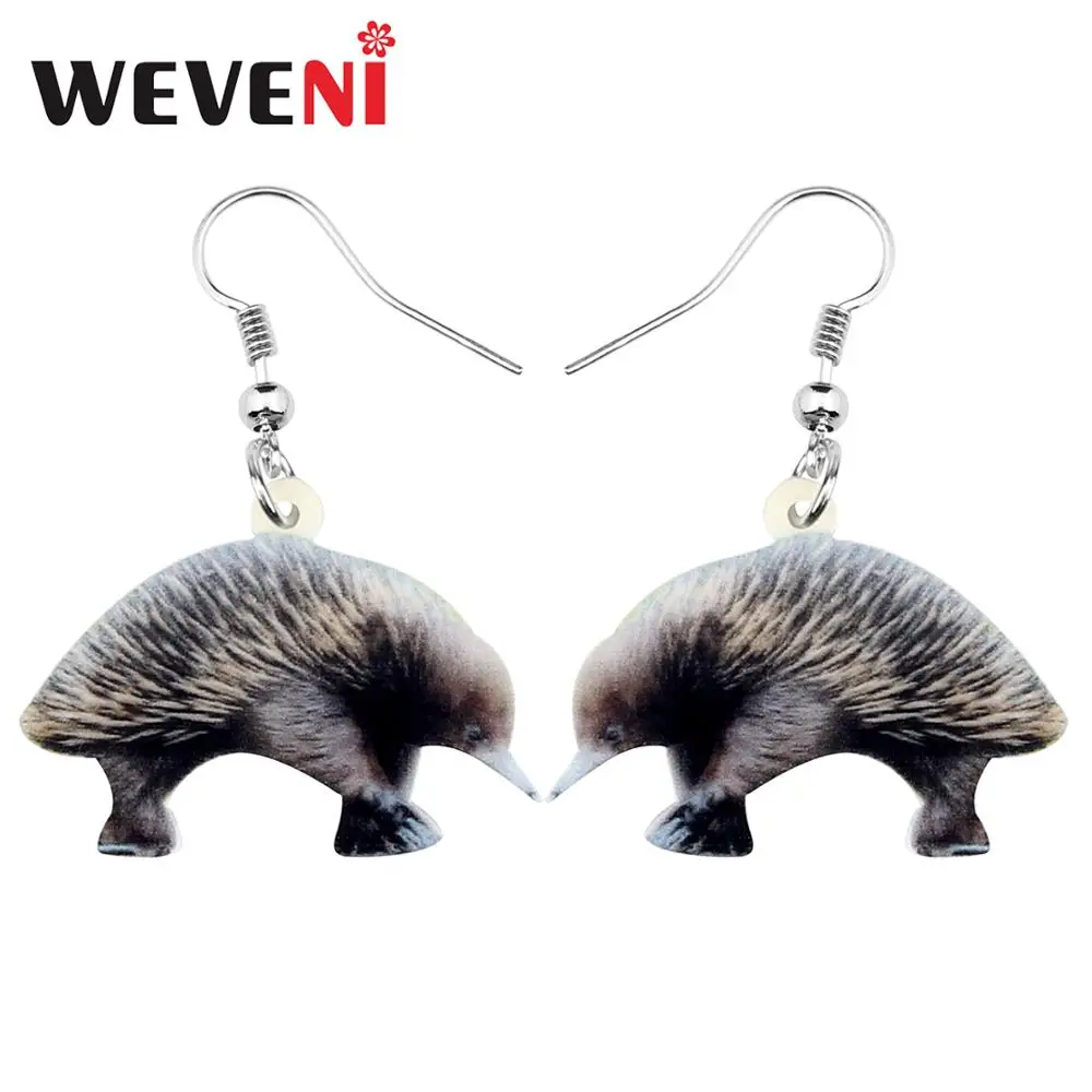 WEVENI акриловые милые австралийские коричневые серьги Echidnas свисающие уникальные