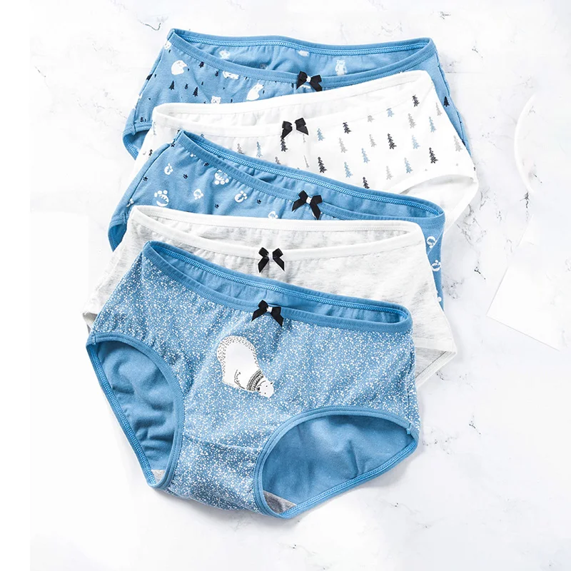 LANGSHA 5Pcs/lot Women Panties Sexy Cotton Briefs Lovely Printed Lady Underwear Seamless Wholesale Girls Underpants Plus Size3XL LANGSHA 5Pcs/lot Women Panties Sexy Cotton Briefs Lovely Printed Lady Underwear Seamless Wholesale Girls Underpants Plus Size3XL