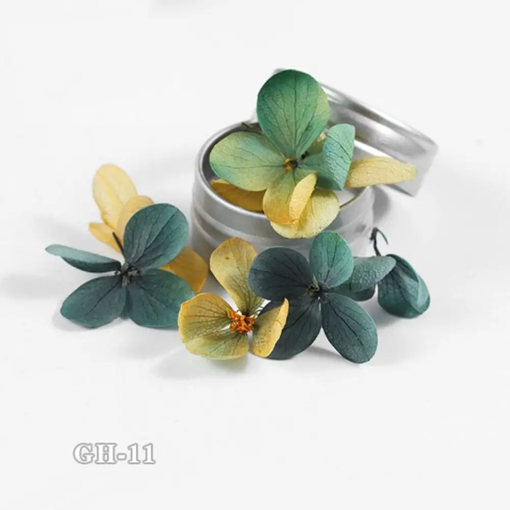 Летние Натуральные сушеные цветы для ногтей DIY 3D спрессованные цветы слайдер наклейка лак маникюр Дизайн ногтей аксессуары для украшения