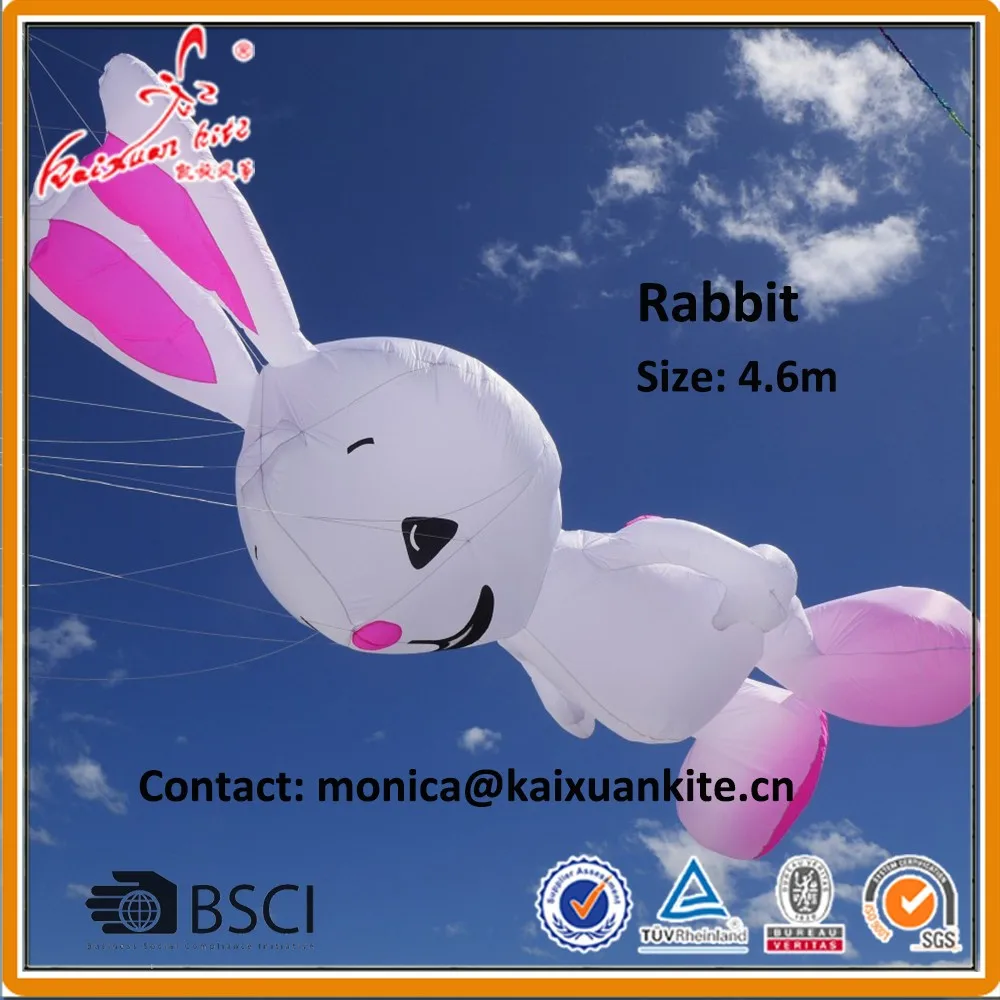 rabbit1