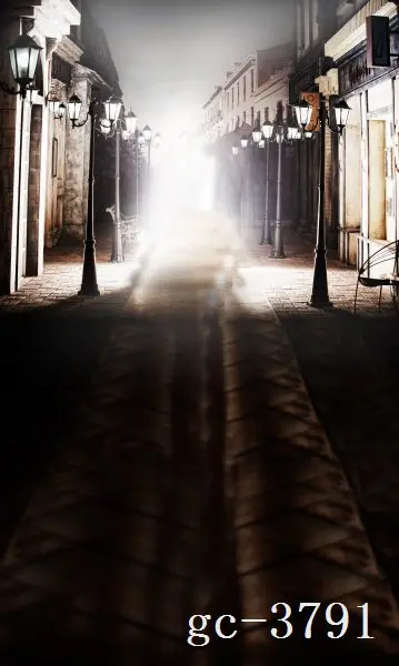 

SHANNY 5x10ft Vinyl Custom Photography Backdrops Props Photo Studio Backgrounds GC-3791