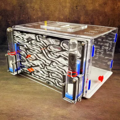 Ant-Nest-D2-With-Feeding-Area-and-2-Water-Towers-Ants-Farm-Workshop-Kids-DIY-Installation.jpg_640x640 (1)