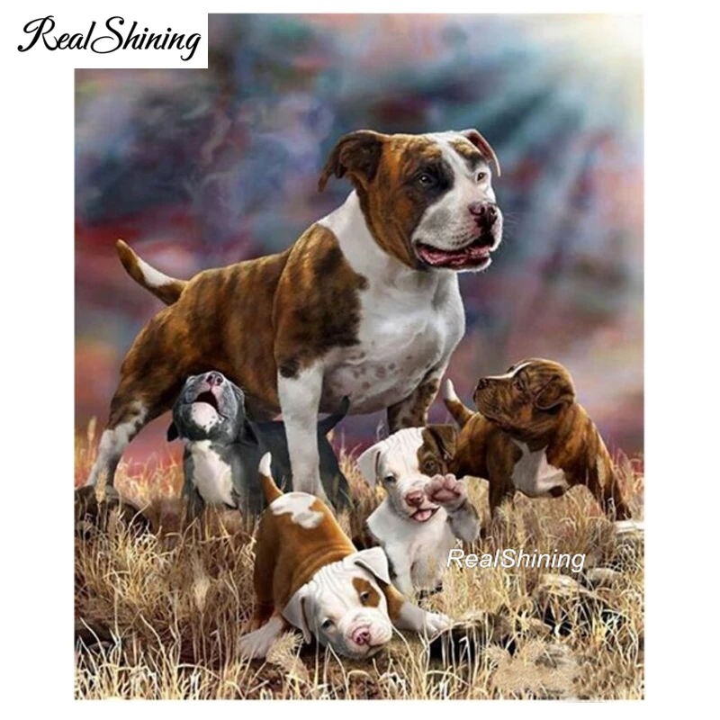 5d diy elmas boyama pit bull terrier kopek tam kare yuvarlak yapay elmas nakis mozaik resimleri mutfak ev sanat fs4266