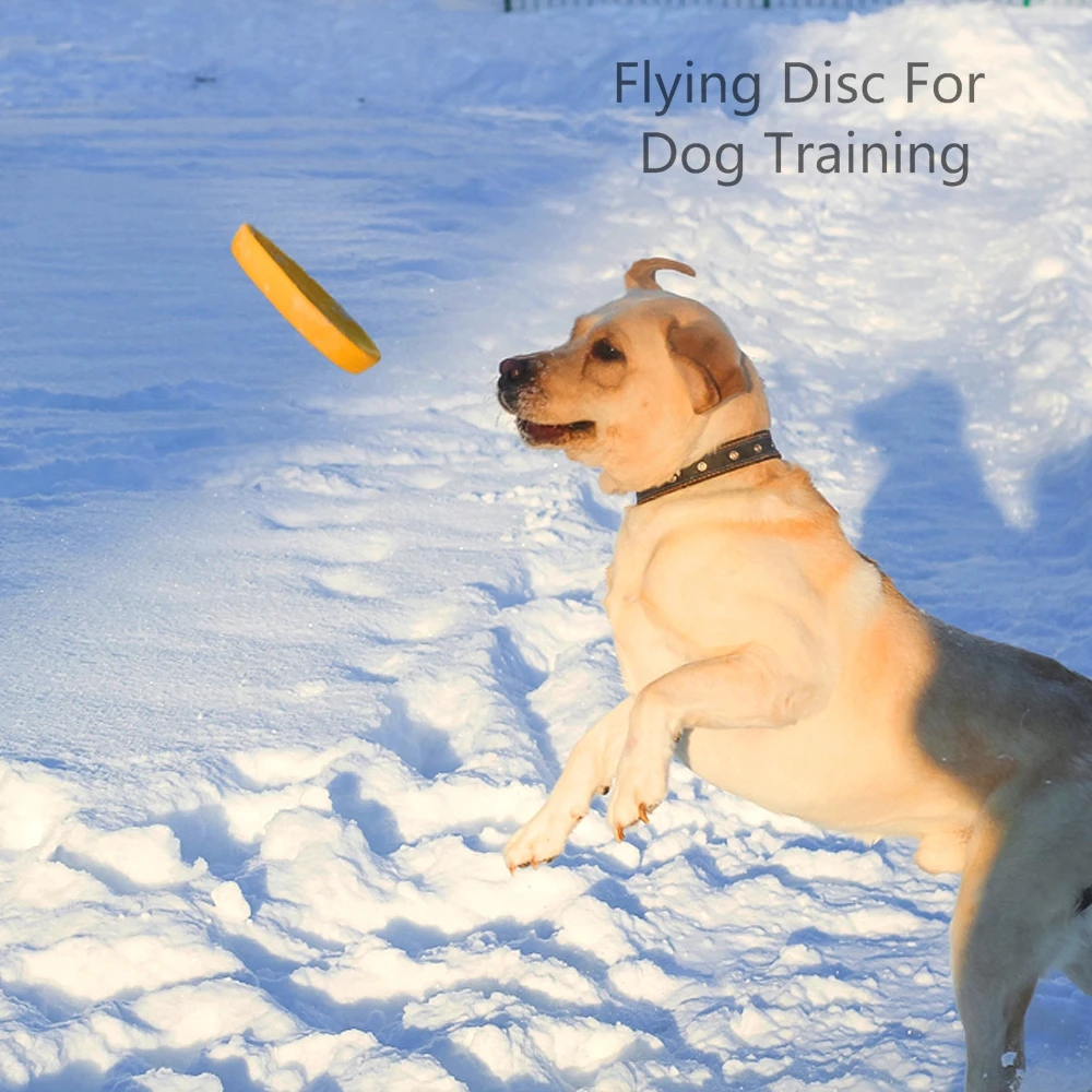 برمائية الكلب لعب الكرة مع حبل/تحلق أقراص/مضغ لعبة حلقة إيفا الحيوانات الأليفة لعبة للكلاب التفاعلية الكرة ل صغيرة/كبيرة الكلاب القطط برمائية الكلب لعب الكرة مع حبل/تحلق أقراص/مضغ لعبة حلقة إيفا الحيوانات الأليفة لعبة للكلاب التفاعلية الكرة ل صغيرة/كبيرة الكلاب القطط