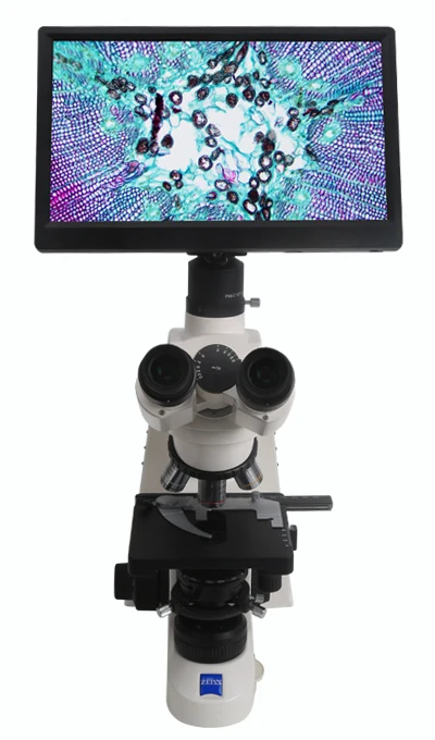 Zeiss+XCAM+HD1080PA1