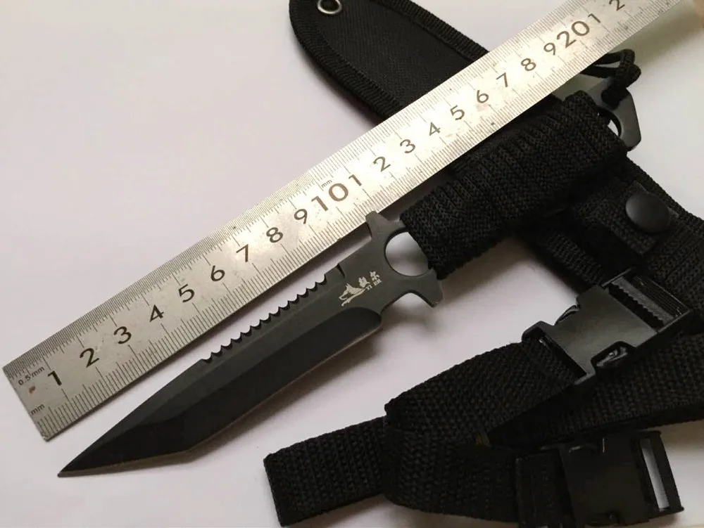 2341241216_742635196