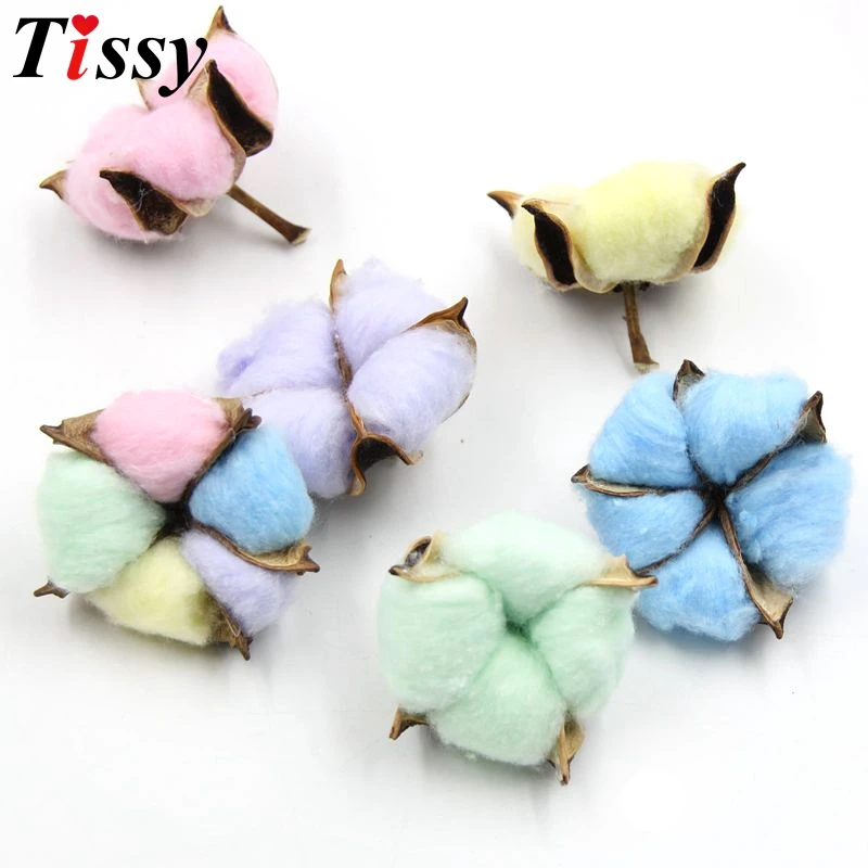 

5PCS/Lot Colorful Natural Dried Cotton Flower Heads Crafts Dried Pressed Flowers For Home Wedding Party Decor DIY Gifts Supplies