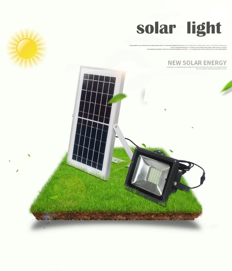 4341711992_1911495059