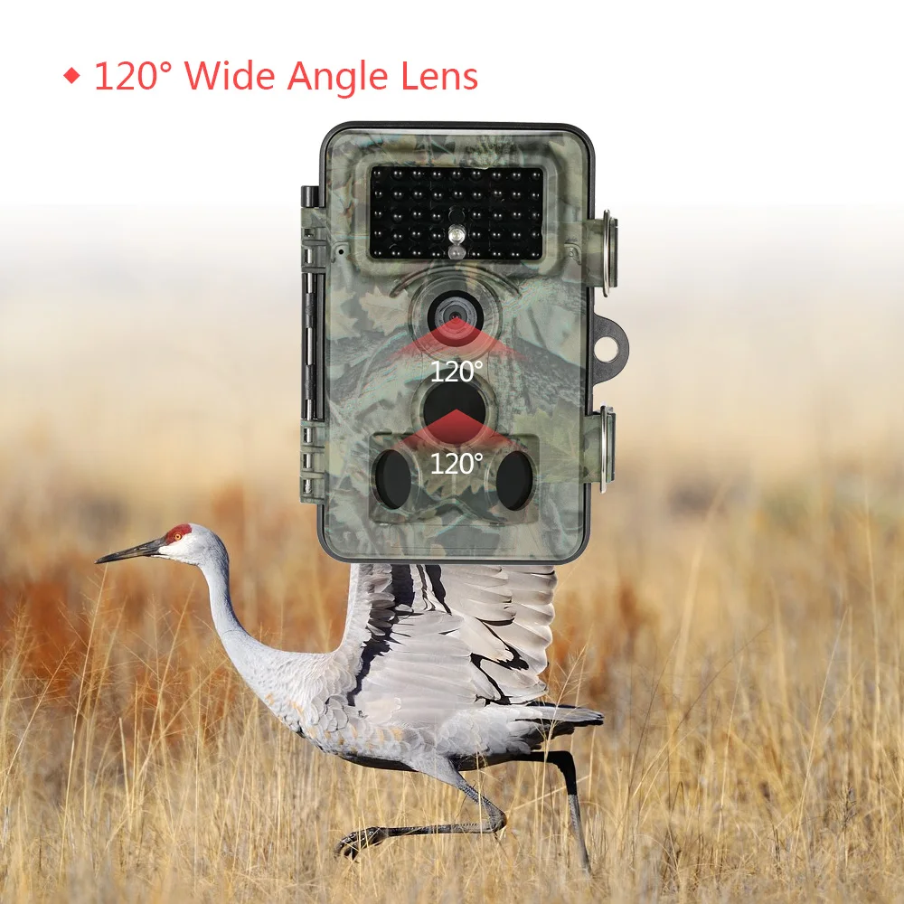 HTB1vqIWNFXXXXbiXXXXq6xXFXXXT