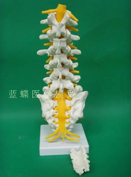QQ20180722191913