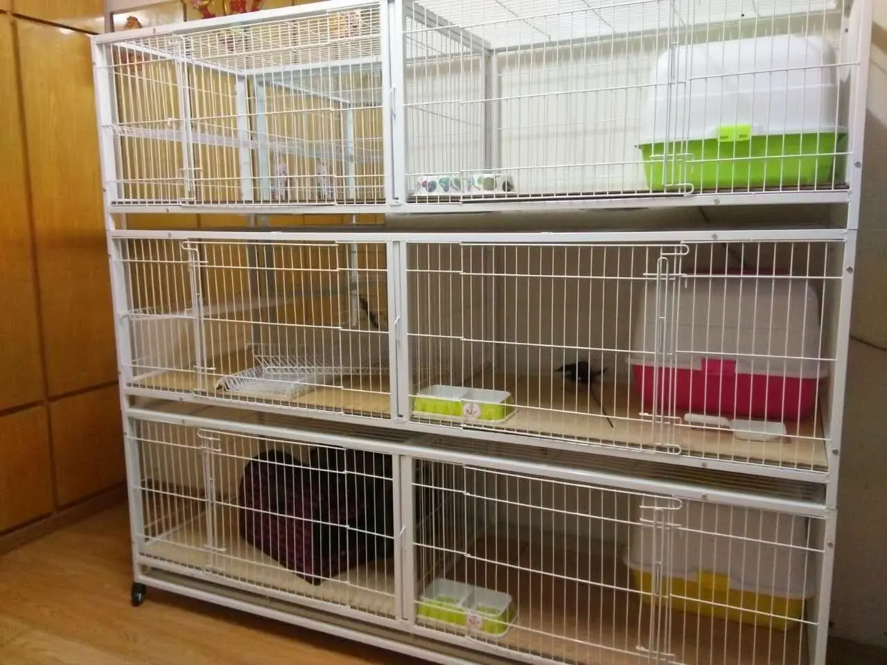 1 long cat cage extended to increase 2.2 plug door spring three