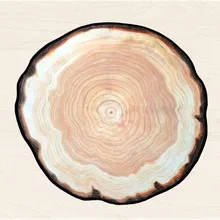 3D Дерево кольца круглый ковер прикроватные коврики коврик для гостиной для детской комнаты природные украшения для дома аксессуары