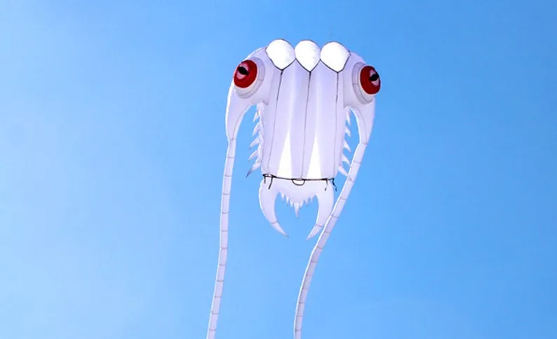 Trilobite beach soft cometas chinas cerf volant single line kites flying vlieger large inflatable kites ripstop nylon aquiloni