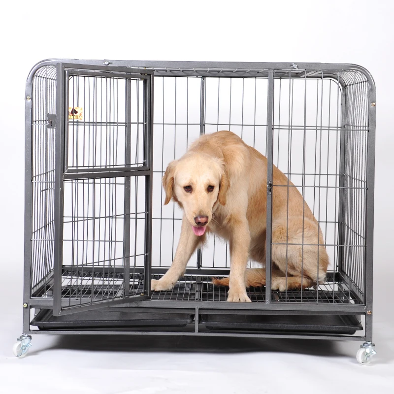 labrador cage