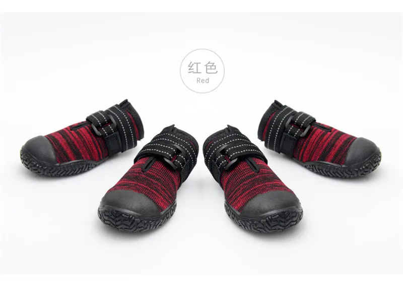 dog shoes (10)