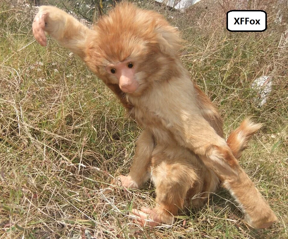 real life monkey doll