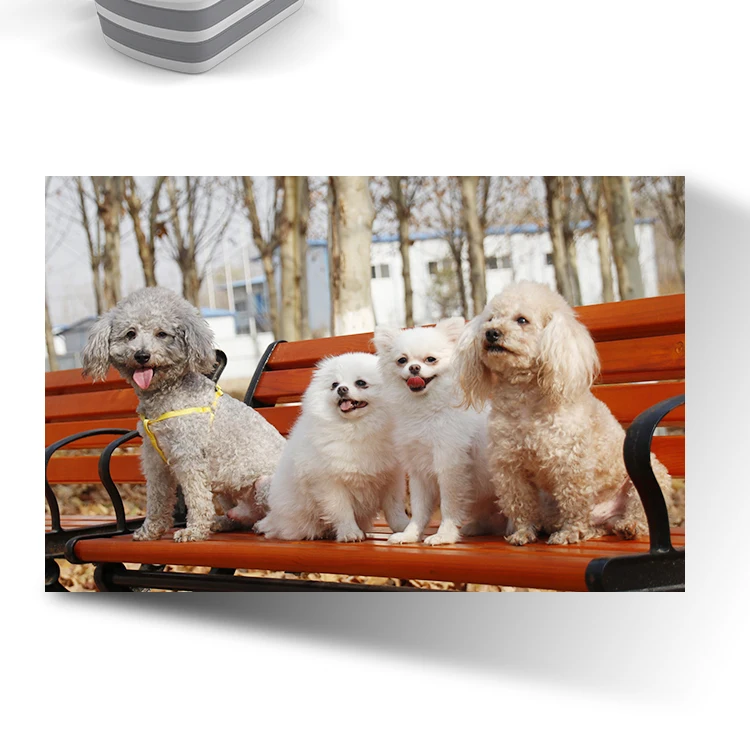 1pc Portátil Dobrável Banheira do Bebê Chuveiro Portátil Capacidade de Armazenamento de Lavagem de Silicone Não-deslizamento Cão Banheiras de Spa do pé Banho de Banheira de Água Quente 7 High Quality Casa e Jardim