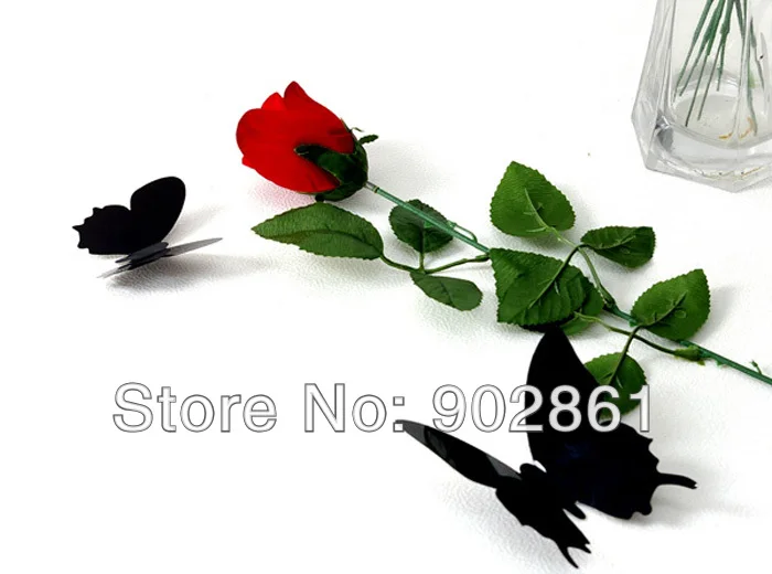 FF3B003 (2)