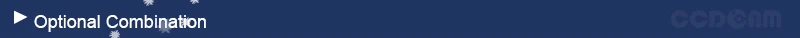 Optional Combination1