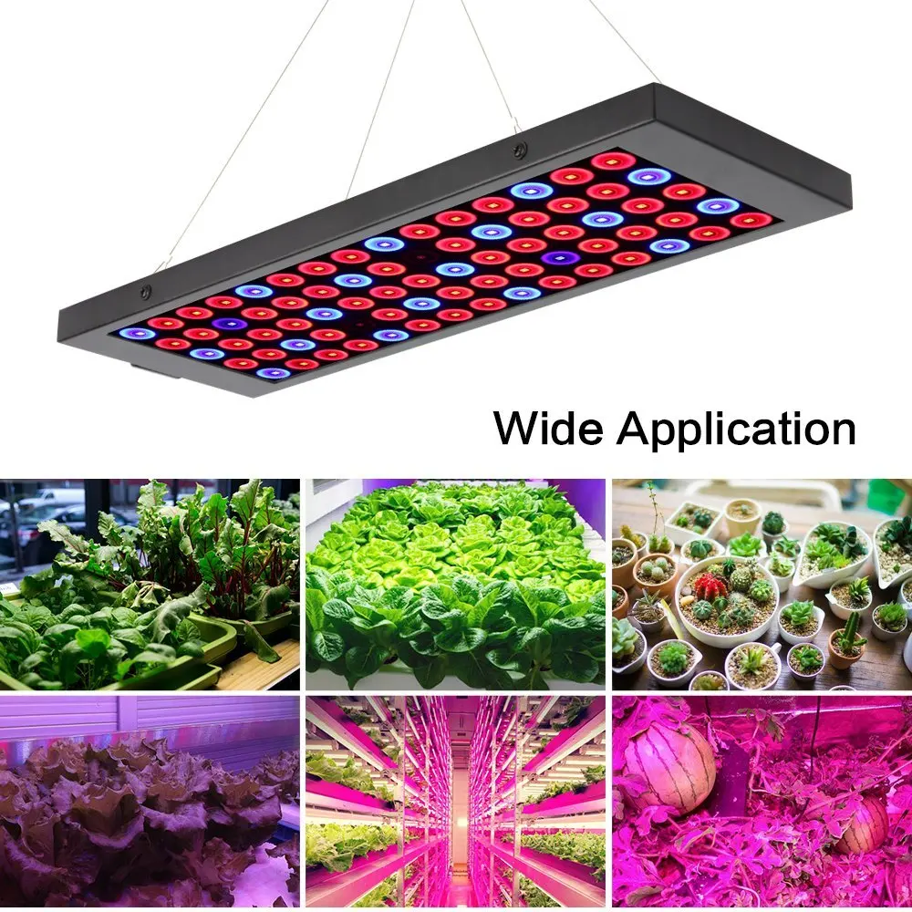 100 Вт полный спектр светодиодный светильник для выращивания растений AC85 ~ 265 В теплица садоводства лампа для выращивания растений в