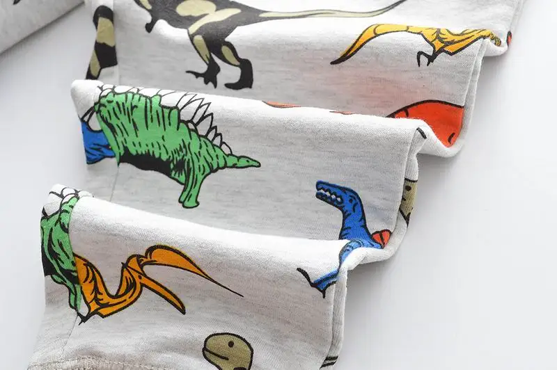 SAILEROAD Костюмы для динозавров с принтом для мальчиков с длинным рукавом Осень из двух частей Наборы одежды для малышей из хлопка Комплект одежды для хлопка