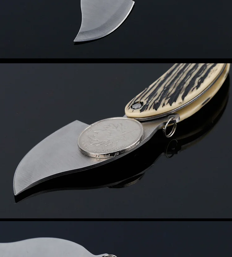 Folding Blade Knife (5)