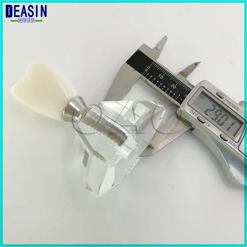 Зубы зубной модели Кристалл База жесткого Пластик зубов Имплантат практика модель макро Имплантат модель Корона мост