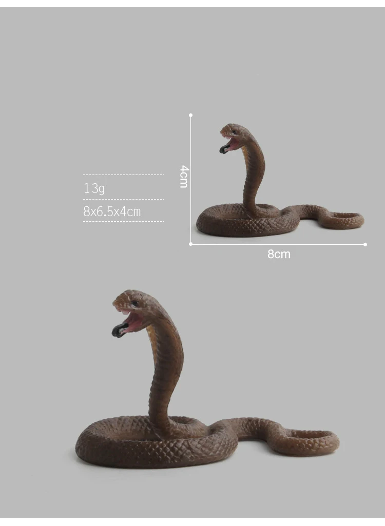 p_06