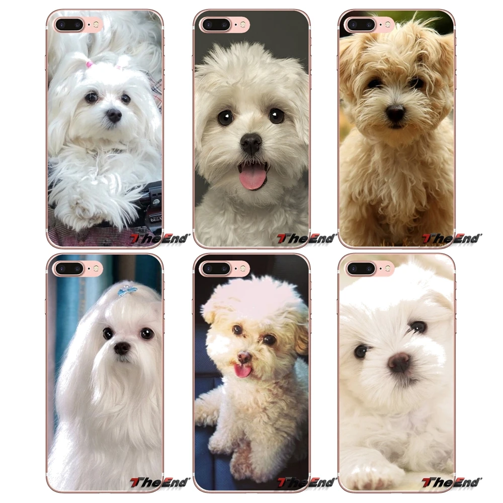 Силиконовый чехол для телефона I Love My Maltese dog puppies Apple iPhone X 4 4S 5 5S SE 5C 6 6S 7 8 Plus 6sPlus 6Plus