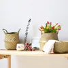 Garden Supplies