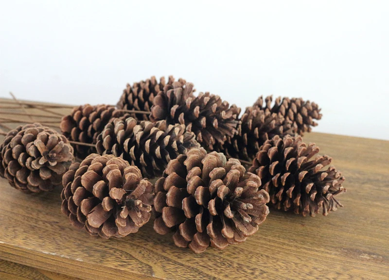 JAROWN Wooden Decoration Dried Pine Nuts Pine Cones For Christmas Holiday DIY Party Ornament Home Office Decor Supplies (13)