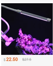 dianxiaobao