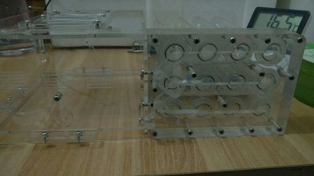 6-Tubes-ant-nest (3)