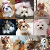 20pcs Pet Dog Cute Hair Bows with Rhinestone&Flowers Ribbon Bows Dog Hair Accessory Dog Groomining Pet Supplies ► Photo 2/6