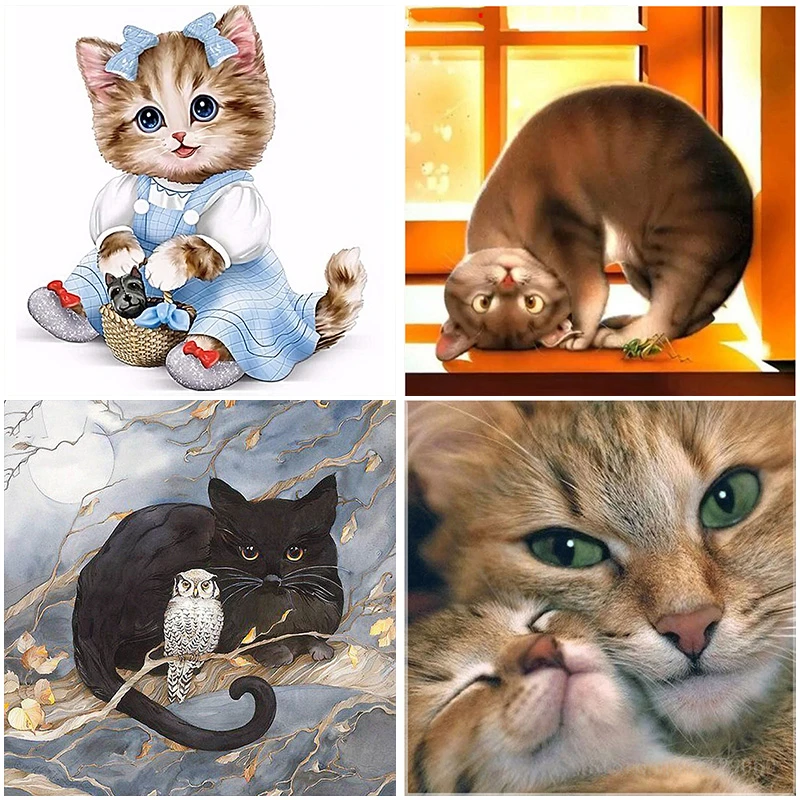 Kit De Peinture De Diamant En Resine De Chat 5d Mosaique Affichage Rond Et Carre Broderie Dessin Anime Animal Point En Croix Decoration De La Maison Aliexpress