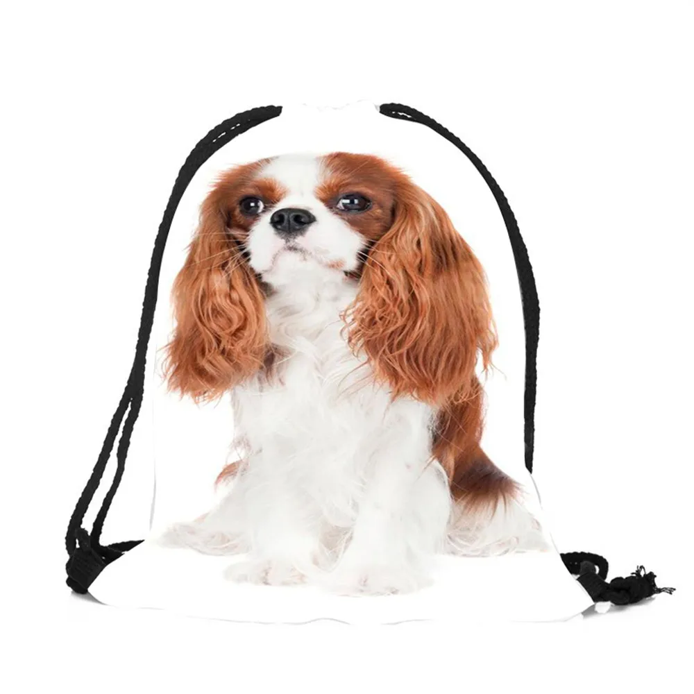 

Lovely Charles Spaniel Pattern Printed Drawstring Bags for Woman Man School Travel Shopping Carry Package School String Backpack