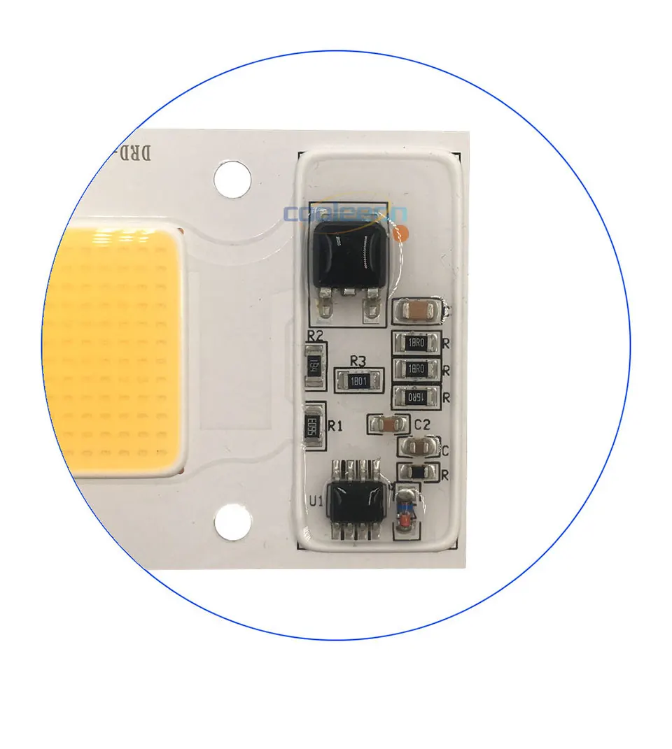 Full Spectrum COB LED Lamp 50W 95% RA 220V AC COB Chip Smart IC for Plant Frow Lights Floodlight Lighting Source Warm Cold White (4)