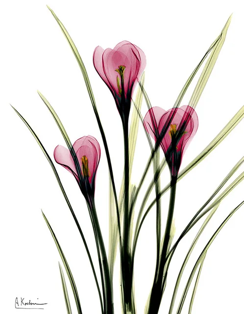 Purple-Flower-Canvas-Painting-Oil-Paint-Pink-Floral-Photo-Home-Decoration-Long-Stem-Leaf-Prints-Office.jpg_640x640 (2)