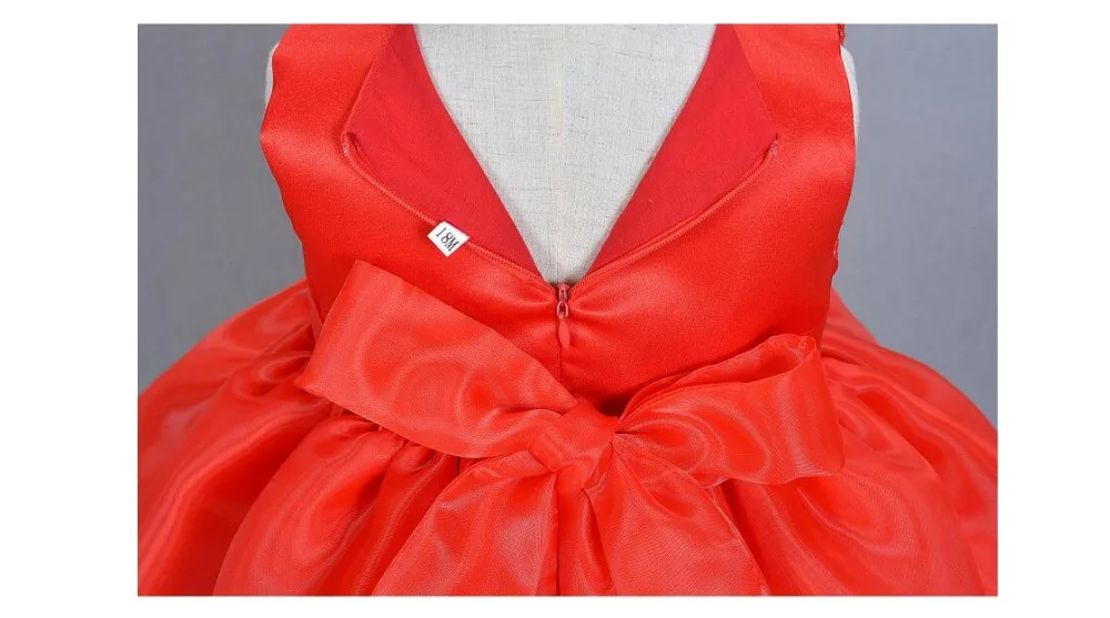 BH009-RoseRed03