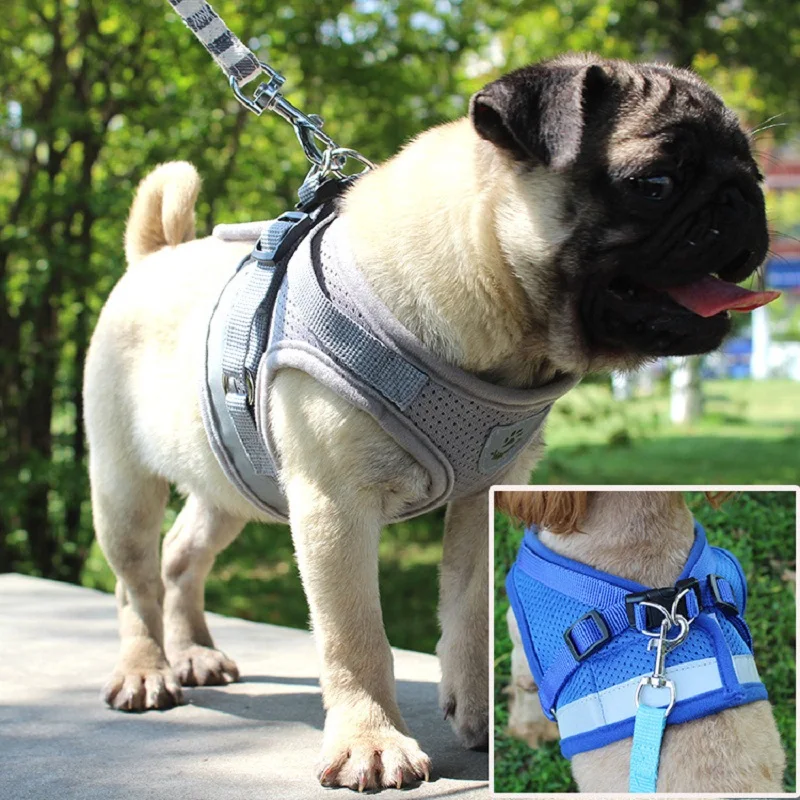 

Nylon Reflective Pet Dog Harnesses Leash Set Pets Vest Strap Harness For Walking Training Small Medium Dogs Chihuahua Bulldog