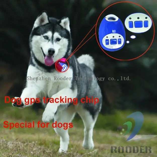 gps tracking chips for dogs
