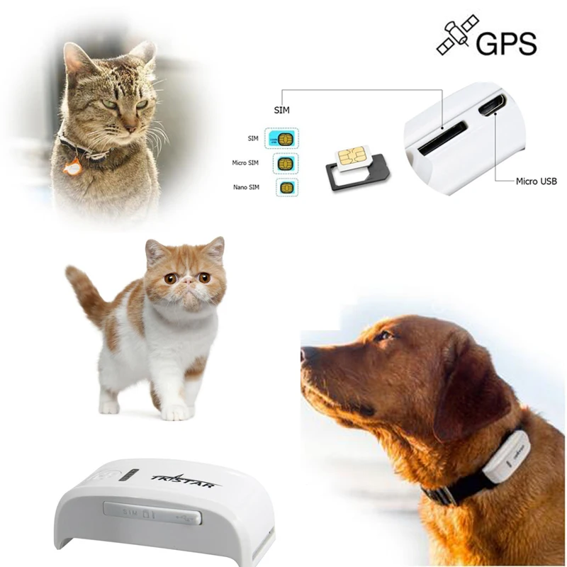 2015 Latest Small Portable Pets Dog GPS Tracker Device With Free Collar tk909 Tracking On Moboile