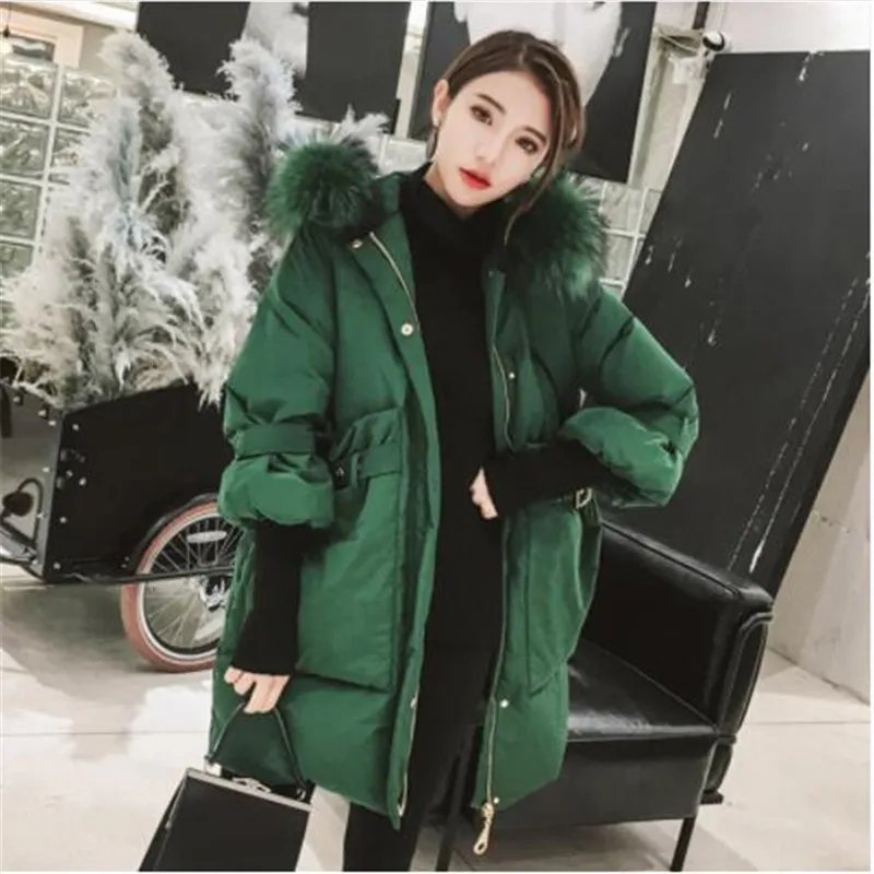 Long Down Parka Women Winter Coat 2018 Winter Women's Duck Down Jackets And Coats Female Parkas With Real Raccoon Fur Hooded