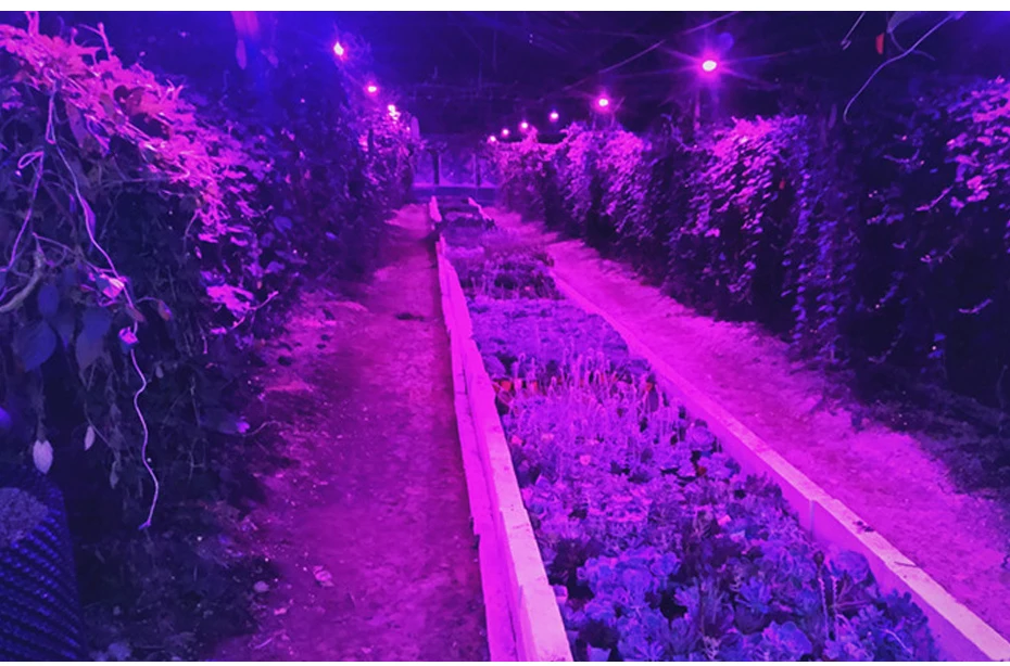 3_06