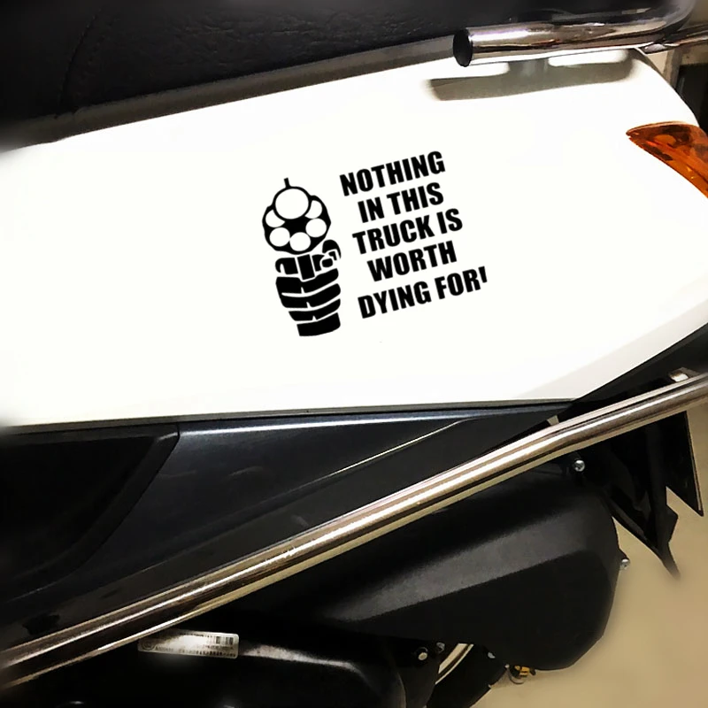 Nothing in this car is worth dying for Decal//Sticker