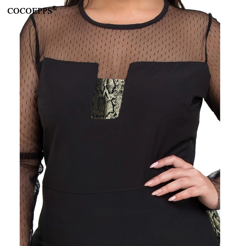 COCOEPPS  8