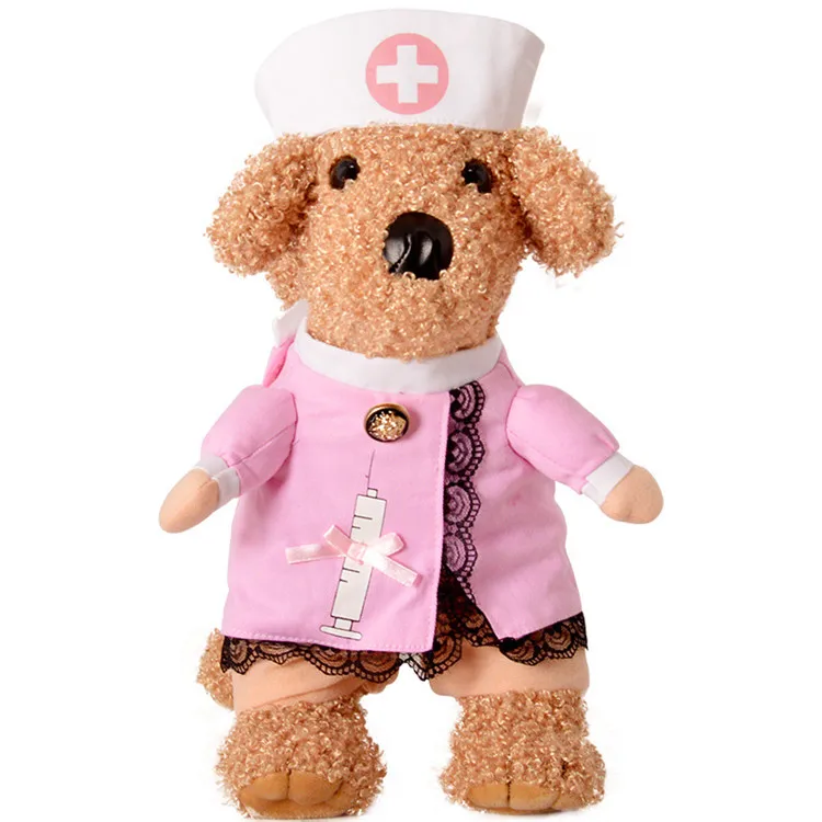 pet costume (12)