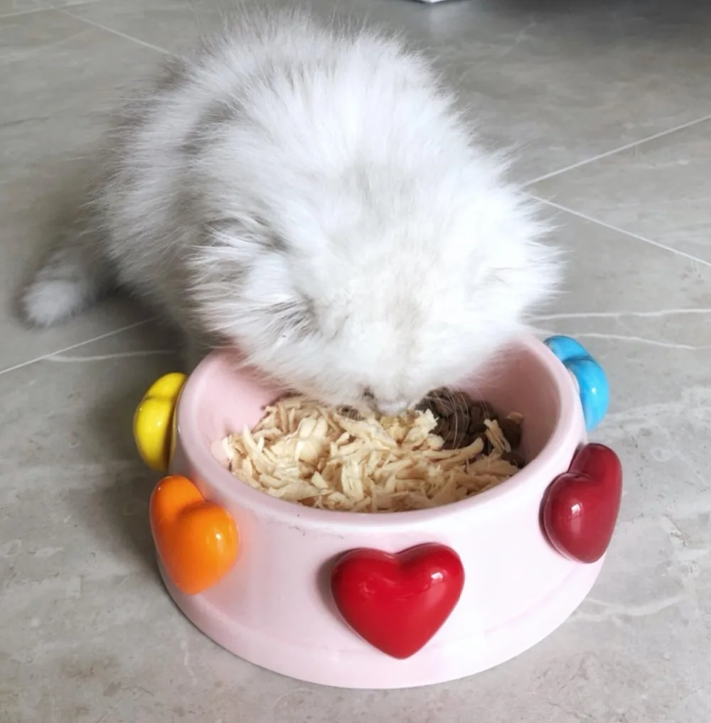 QQ20180613094103